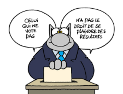 le chat election.png