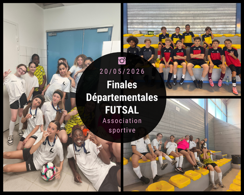 Copie de Montage photo d'évasions audacieuses (1).png